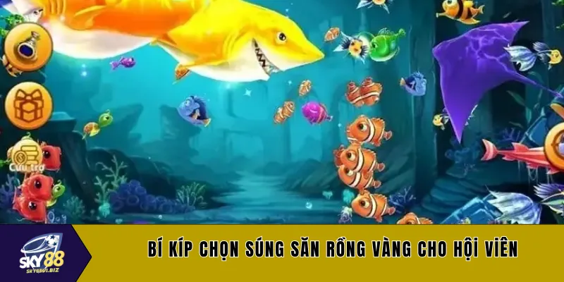 Bí kíp chọn súng săn rồng vàng cho hội viên