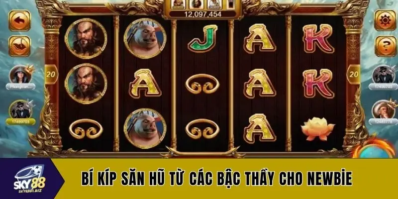 Bí kíp săn hũ từ các bậc thầy cho newbie
