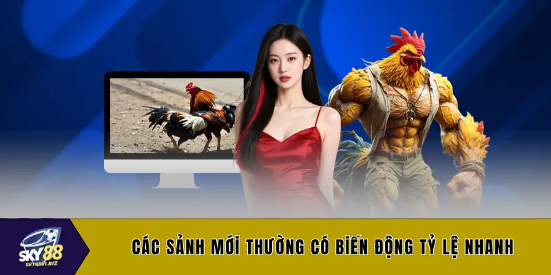 Các sảnh mới thường có biến động tỷ lệ nhanh