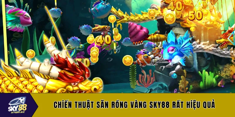 Chiến thuật săn rồng vàng SKY88 rất hiệu quả