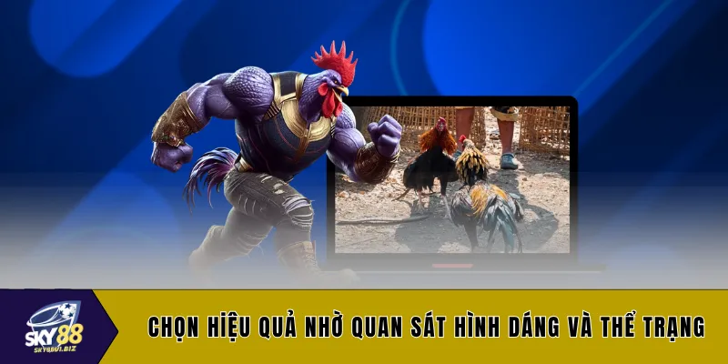 Chọn hiệu quả nhờ quan sát hình dáng và thể trạng