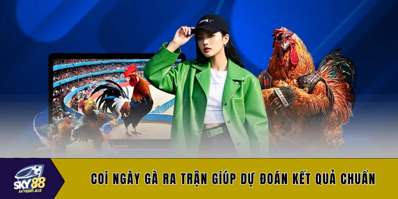 Coi ngày gà ra trận giúp dự đoán kết quả chuẩn
