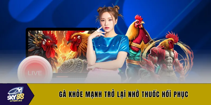 Gà khỏe mạnh trở lại nhờ thuốc hồi phục