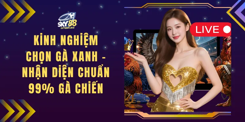 Kinh Nghiệm Chọn Gà Xanh - Nhận Diện Chuẩn 99% Gà Chiến