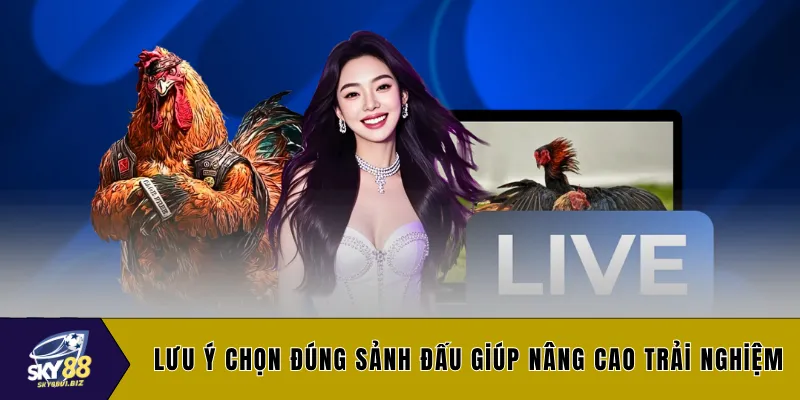 Lưu ý chọn đúng sảnh đấu giúp nâng cao trải nghiệm