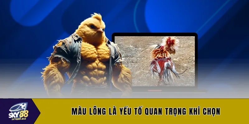 Màu lông là yếu tố quan trọng khi chọn