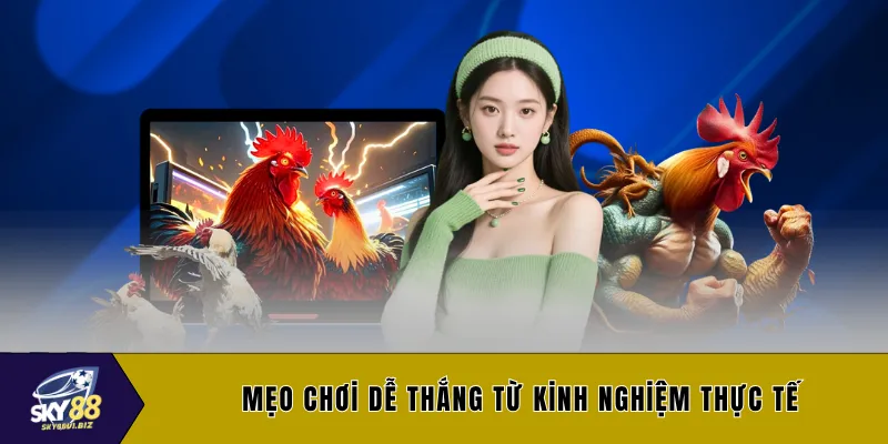 Mẹo chơi dễ thắng từ kinh nghiệm thực tế