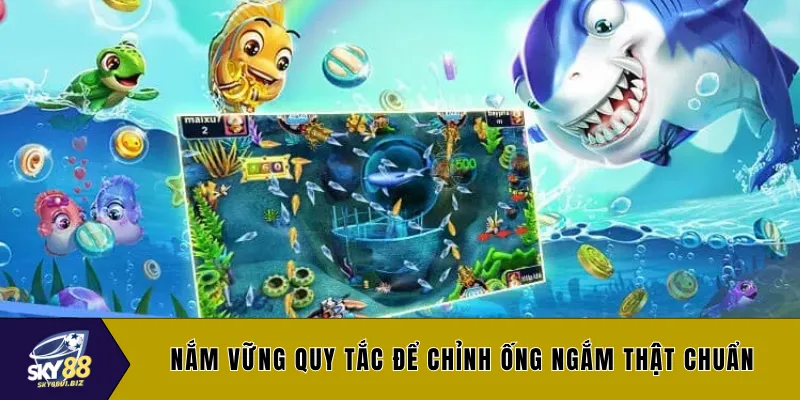 Nắm vững quy tắc để chỉnh ống ngắm thật chuẩn
