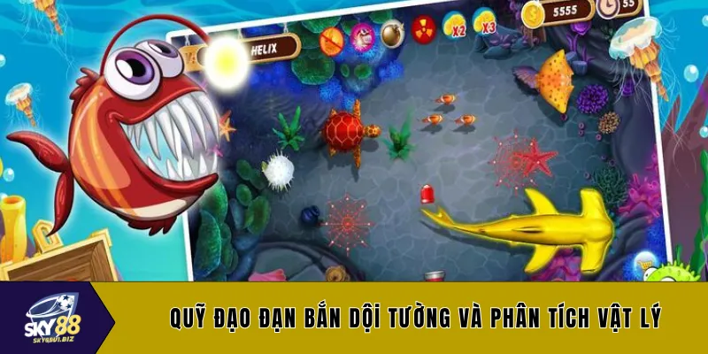 Quỹ đạo đạn bắn dội tường và phân tích vật lý
