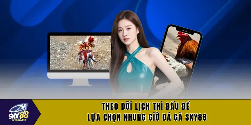 Theo dõi lịch thi đấu để lựa chọn khung giờ đá gà SKY88