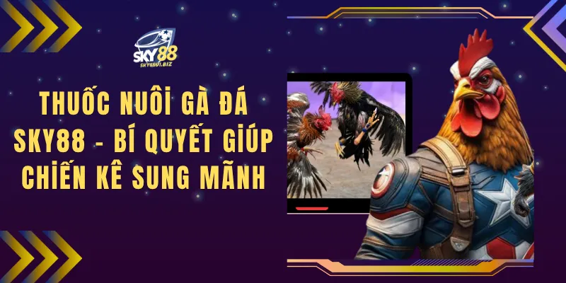 Thuốc Nuôi Gà Đá SKY88 - Bí Quyết Giúp Chiến Kê Sung Mãnh