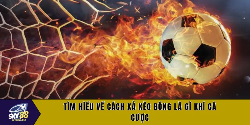 Tìm hiểu về cách xả kèo bóng là gì khi cá cược