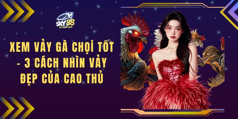 Xem Vảy Gà Chọi Tốt - 3 Cách Nhìn Vảy Đẹp Của Cao Thủ